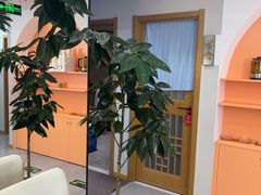 -颐润堂专业养生(五道口华清商务会馆店)
