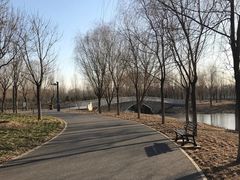 -东郊湿地公园