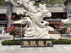 -黄河龙门风景区