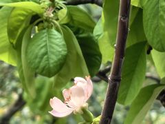 -东坡赤壁风景名胜区