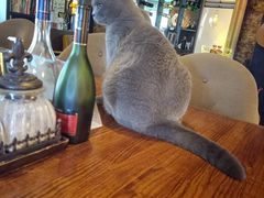 -OX BAR 拉培耶小镇(大连老街店)