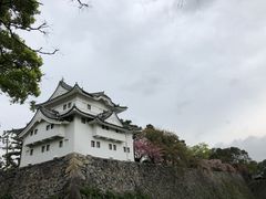 -名古屋城