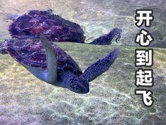 -蛋小鬼甜品工厂(荼薇花园店)