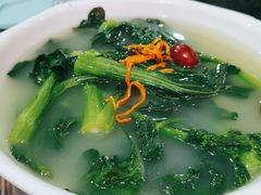 -石岐乳鸽村(南海第三分店)