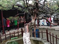 -水绘园