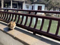 -西园戒幢律寺