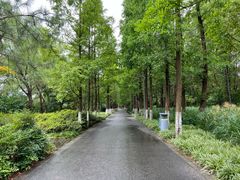 -昆山城市生态森林公园