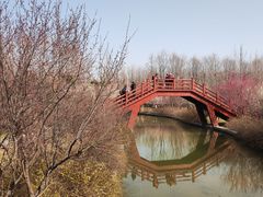-洛阳市隋唐城遗址植物园