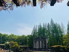 -音乐台