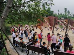 -枫香湖儿童公园