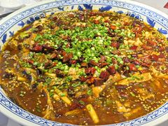 -新概念来凤鱼(璧山店)