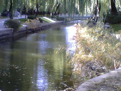 景点-菖蒲河公园