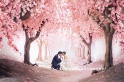 -巴黎新娘婚纱摄影·婚礼策划(嘉定总店)