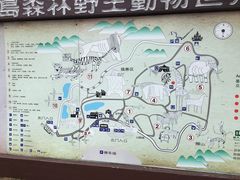 -青岛森林野生动物世界