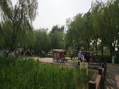 -永定河休闲森林公园