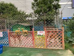 -萌宠亲子动物乐园(槐房万达店)