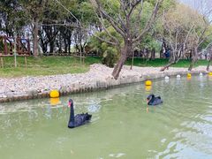 -上海野生动物园