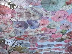 -翠湖公园