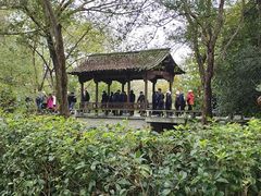 -西溪国家湿地公园