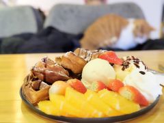-猫咖时代(中山亭店)