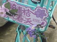 -溪边姑娘·拉丝酸奶水果捞(春熙路店)