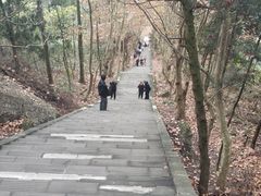 -窦圌山风景区