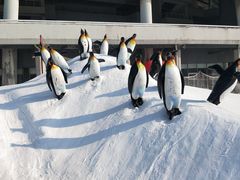 -沈阳奥体冰雪嘉年华