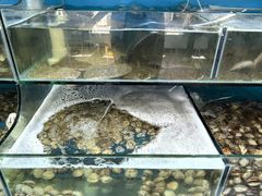 -仙螺岛海鲜自助餐厅(总店)