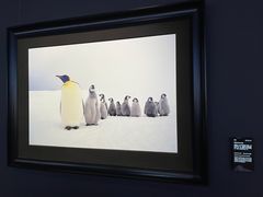 -罗红摄影艺术馆