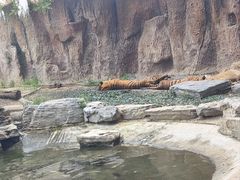 -北京野生动物园