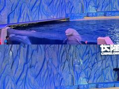 -珠海长隆海洋王国