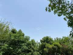 -东湖落雁景区