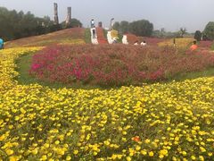 -南通洲际绿博园