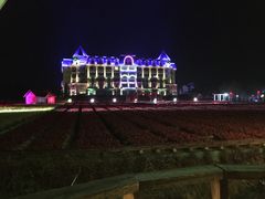 -广州花之恋城堡酒店
