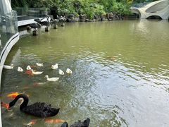 -得丘礼享谷·玉兰苑