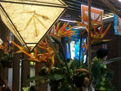 -云海肴云南菜·蒸汽石锅鱼(北京良乡华冠店)