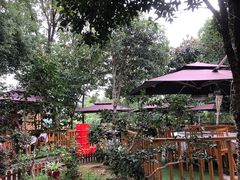 -张鸟园农家乐(张鸟园店)