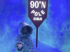 -海合安武汉极地海洋公园
