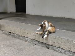 -西园寺