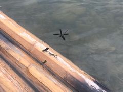 -楠溪江风景名胜区