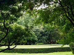 -荔香公园
