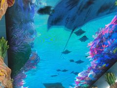 -珠海长隆海洋王国