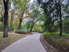 -元大都城垣遗址公园