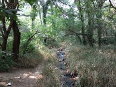 -白水寺森林公园