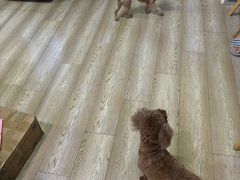 -FIGHTMAN格斗俱乐部(长宁临空店)