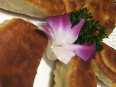 -鼎尚鲜斑鱼莊(新天润店)