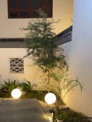 -AGE LOCK 锁龄美肌