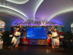 -帝企鹅自助餐厅•儿童岛•真企鹅(长隆企鹅酒店)