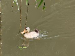 -金庭庄园酒店-停车场