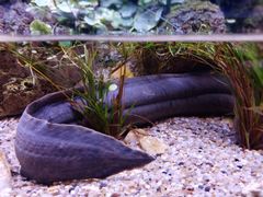 -上海海洋水族馆